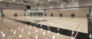 Gymnasium